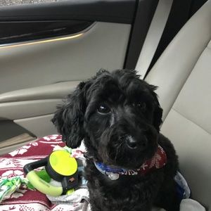 Meet your Posher, Kelly